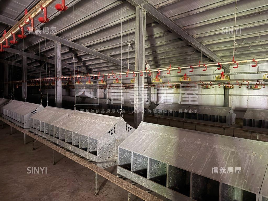 雲林四湖自動科技畜牧場房屋室內格局與周邊環境