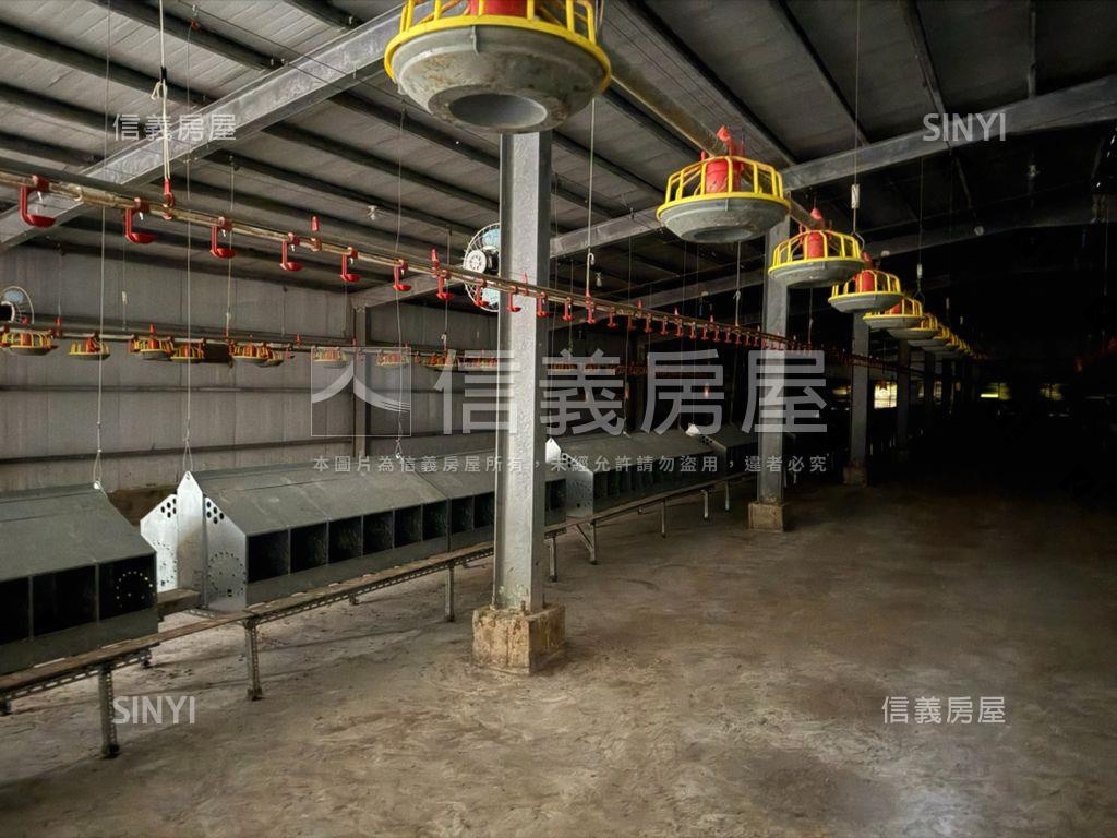 雲林四湖自動科技畜牧場房屋室內格局與周邊環境