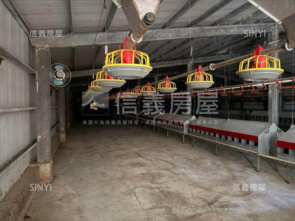 雲林四湖自動科技畜牧場房屋室內格局與周邊環境