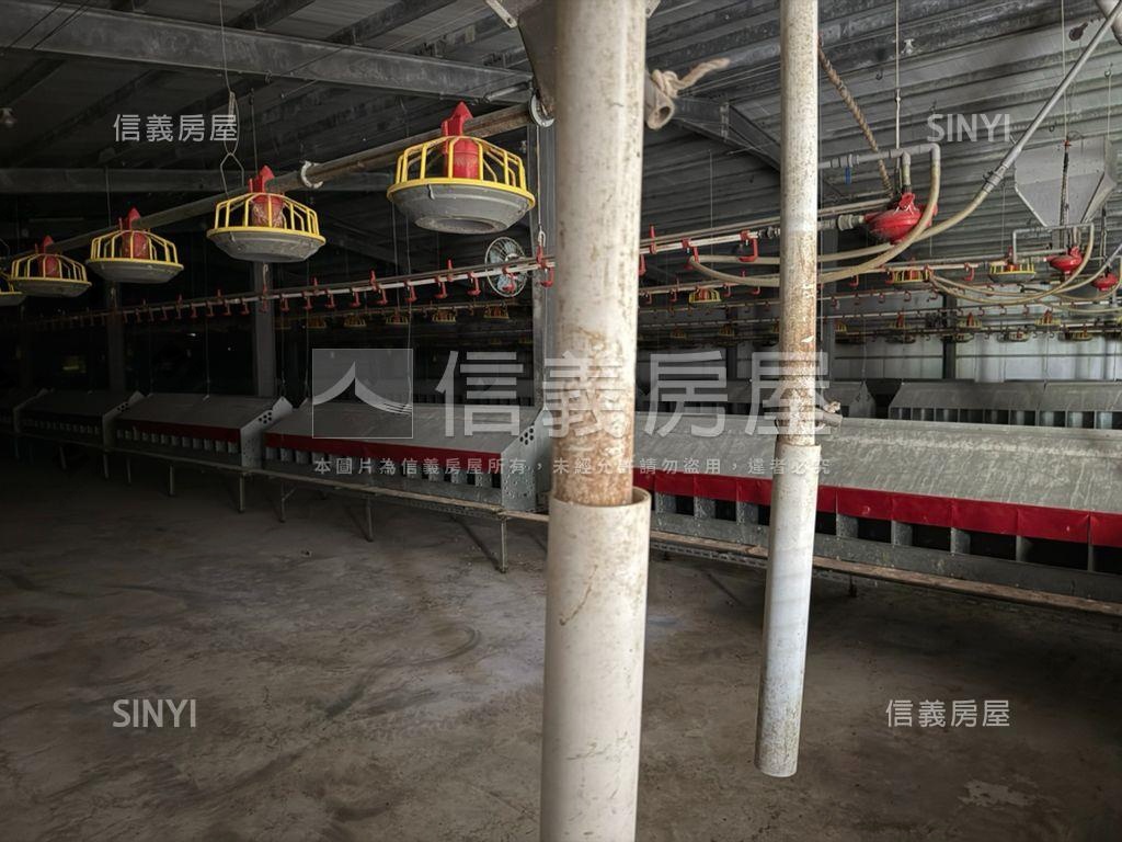 雲林四湖自動科技畜牧場房屋室內格局與周邊環境