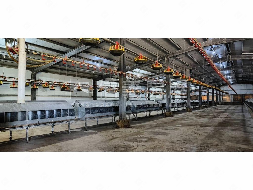 雲林四湖自動科技畜牧場房屋室內格局與周邊環境