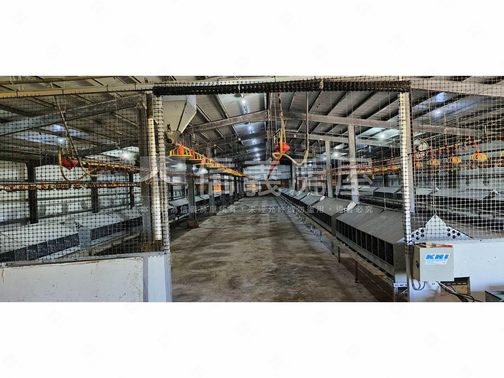 雲林四湖自動科技畜牧場房屋室內格局與周邊環境