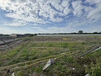 彰化溪湖約１９０３坪土地