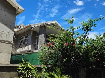 國美館大地坪獨棟庭園洋房