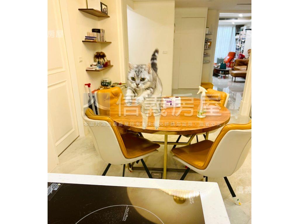 漫活天母車庫一樓房屋室內格局與周邊環境