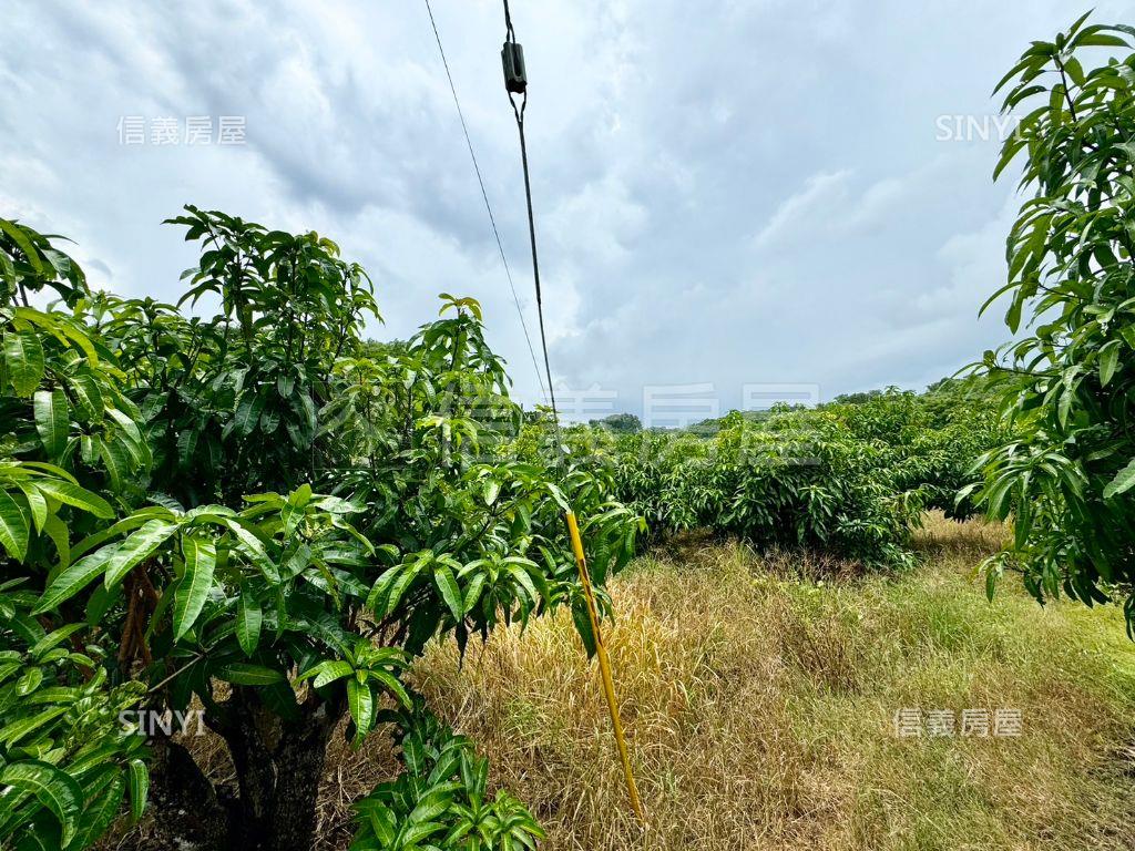 玉井有水有電芒果大農地房屋室內格局與周邊環境