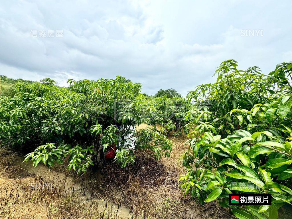 玉井有水有電芒果大農地房屋室內格局與周邊環境