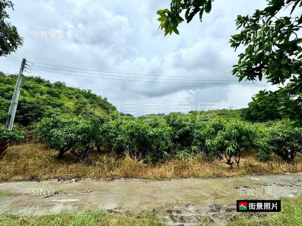 玉井有水有電芒果大農地房屋室內格局與周邊環境