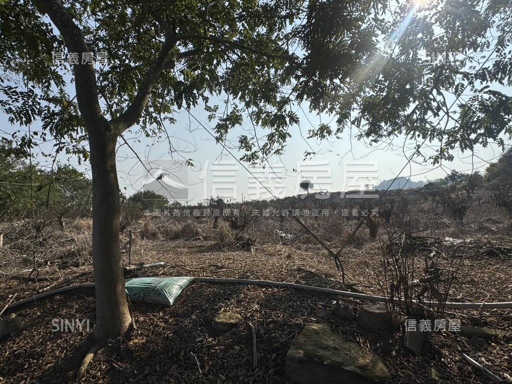 美景玉井口宵里段農牧用地房屋室內格局與周邊環境