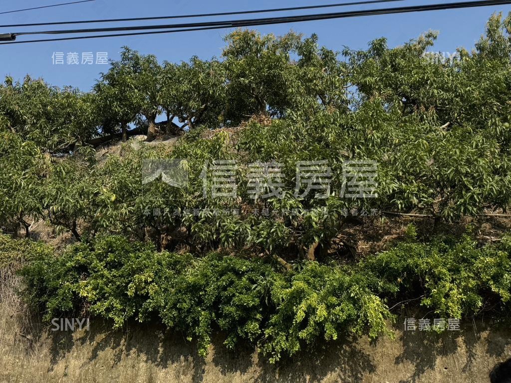 美景玉井口宵里段農牧用地房屋室內格局與周邊環境