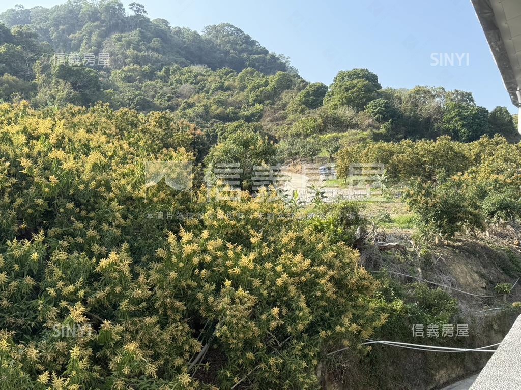美景玉井口宵里段農牧用地房屋室內格局與周邊環境