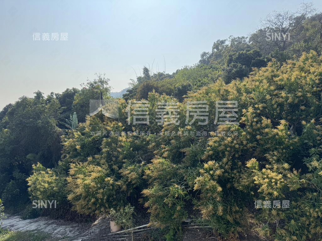 美景玉井口宵里段農牧用地房屋室內格局與周邊環境