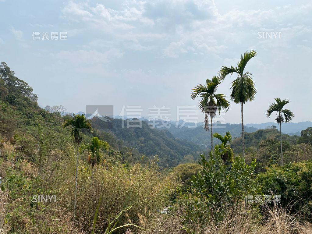 【綠意盎然】太平山坡地房屋室內格局與周邊環境