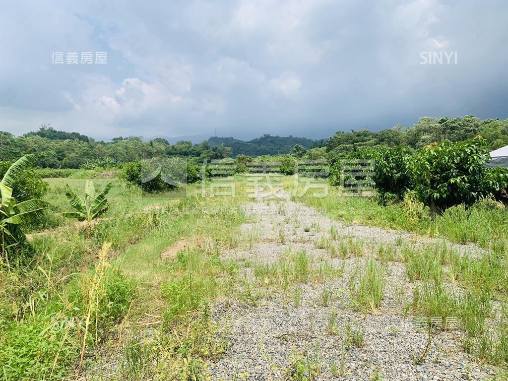 楠西都內５．３分臨路土地房屋室內格局與周邊環境