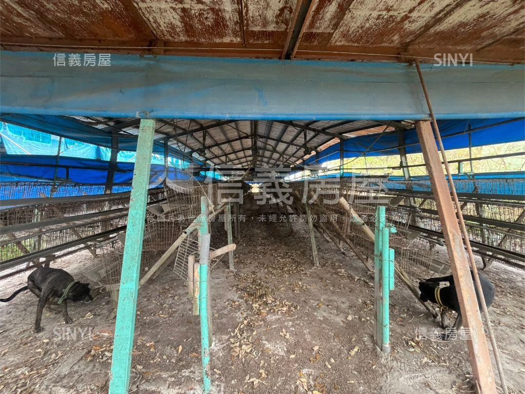 雞舍土地買賣房屋室內格局與周邊環境