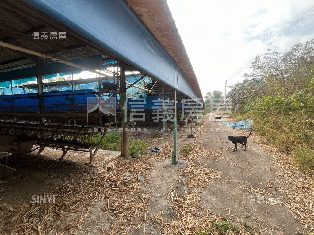 雞舍土地買賣房屋室內格局與周邊環境