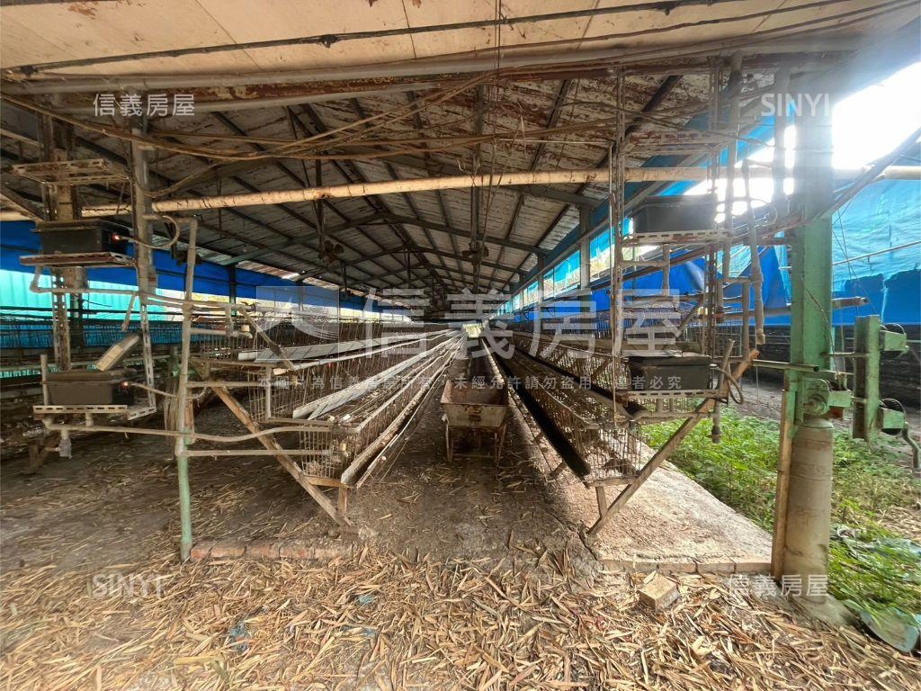 雞舍土地買賣房屋室內格局與周邊環境