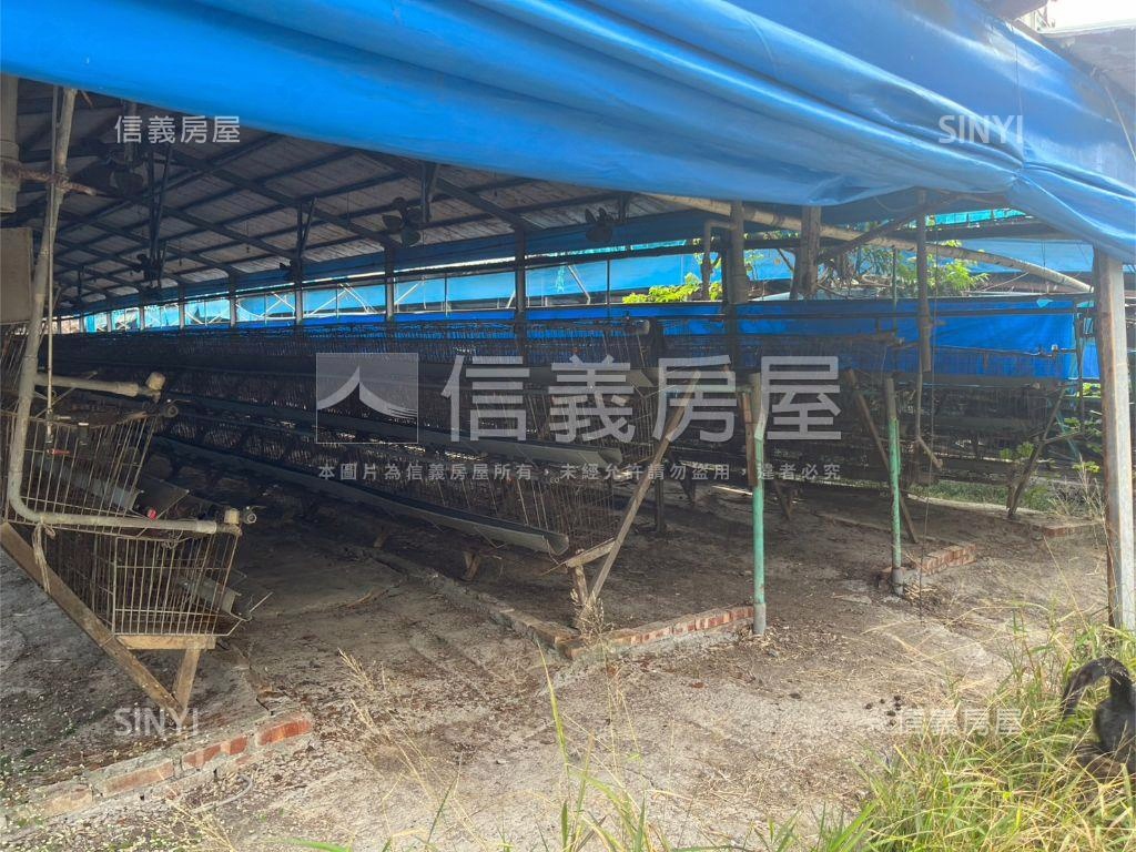 雞舍土地買賣房屋室內格局與周邊環境