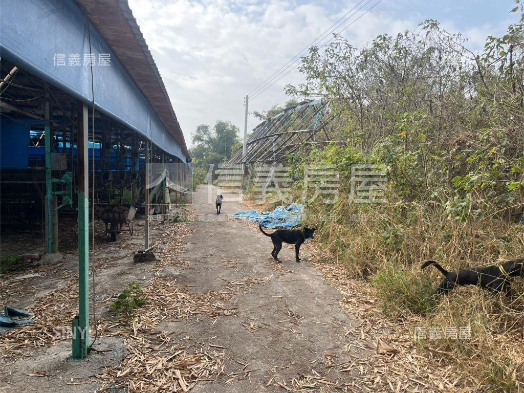 雞舍土地買賣房屋室內格局與周邊環境