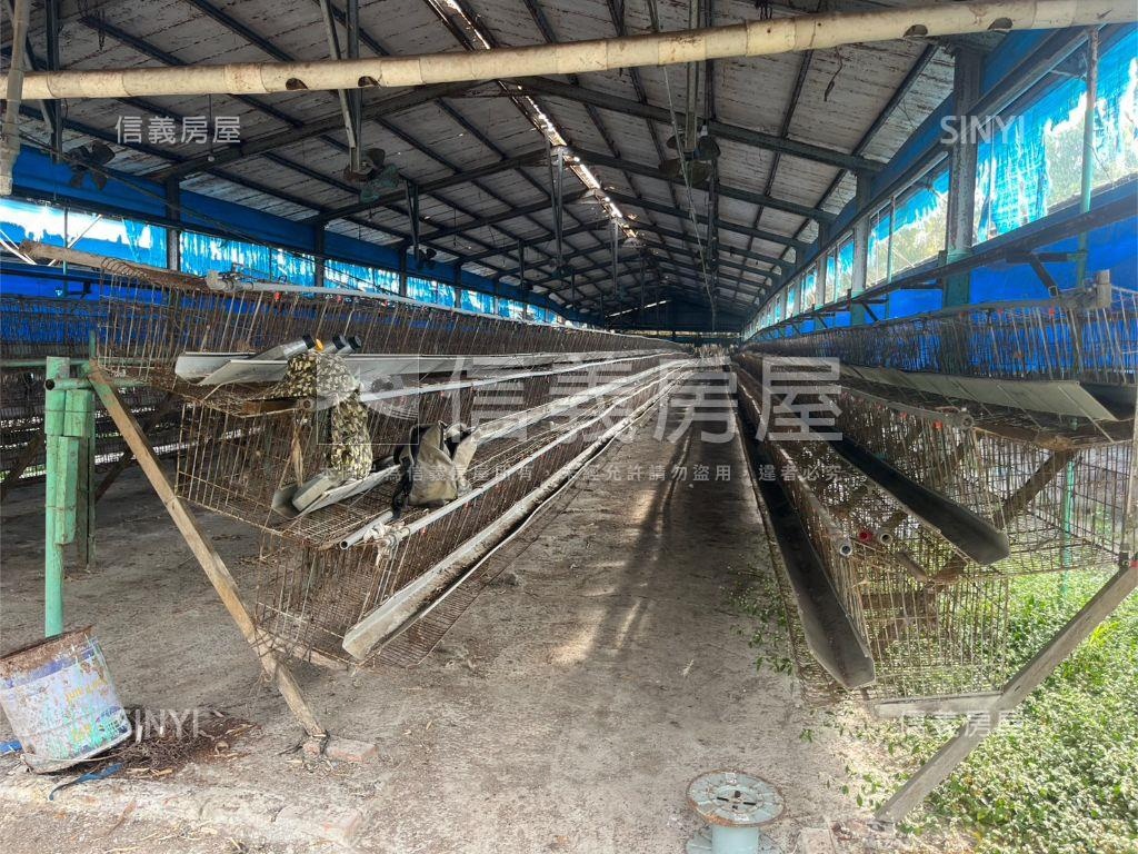 雞舍土地買賣房屋室內格局與周邊環境