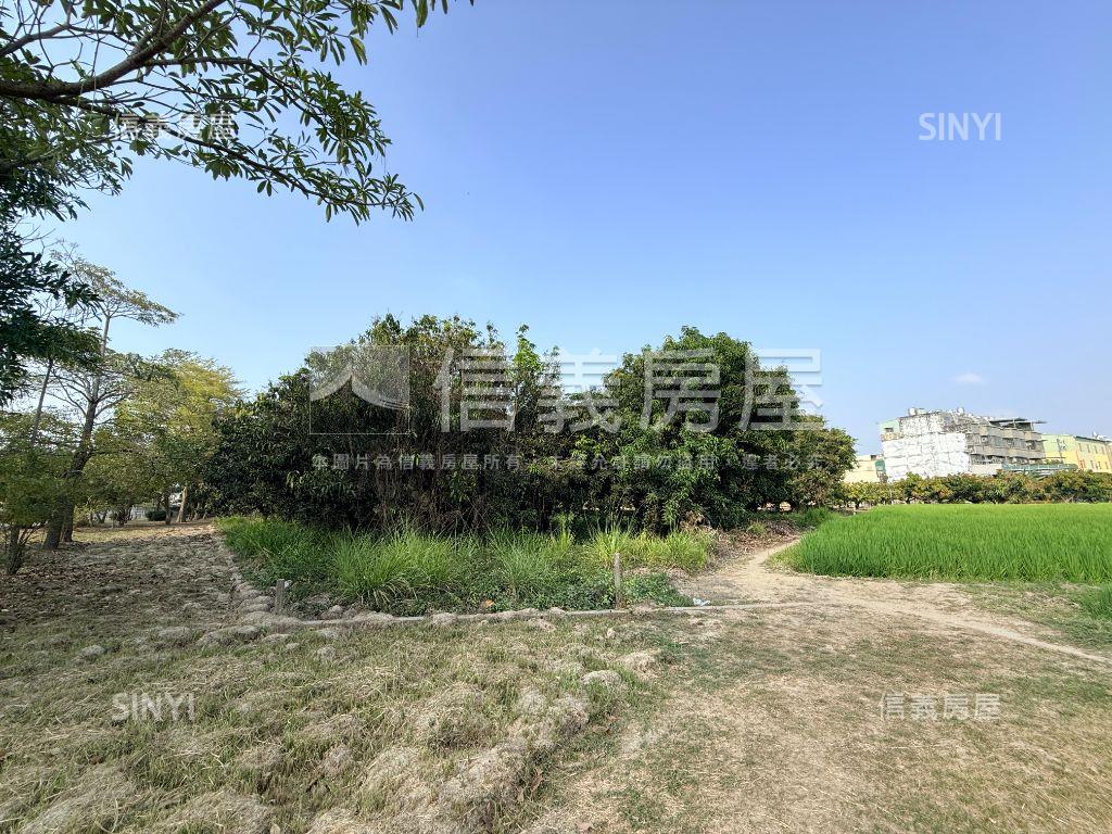 近歸南國小｜潛力增值農地房屋室內格局與周邊環境