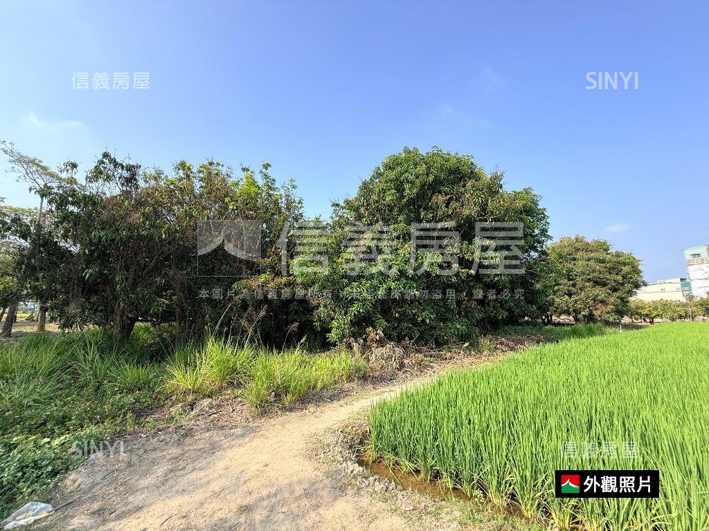 近歸南國小｜潛力增值農地房屋室內格局與周邊環境