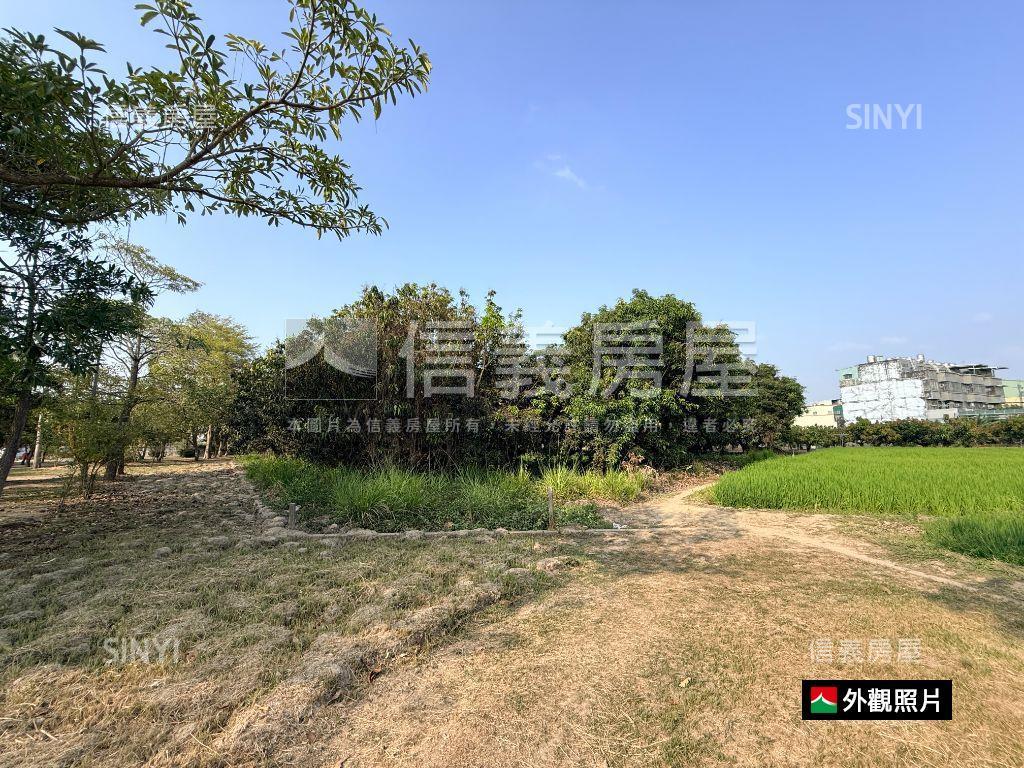 近歸南國小｜潛力增值農地房屋室內格局與周邊環境