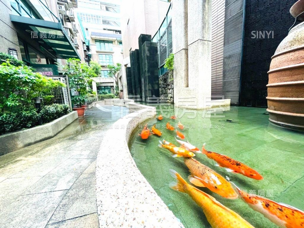 榮耀之星大透帶車庫房屋室內格局與周邊環境