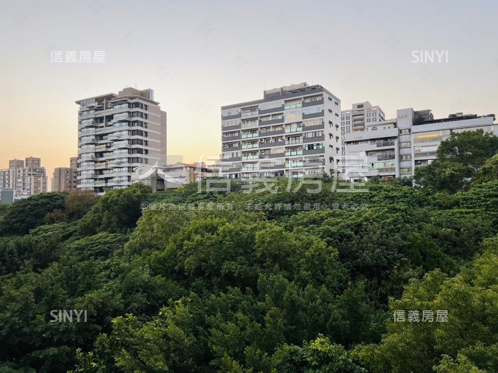 專任！雙公園雙層大空間！房屋室內格局與周邊環境