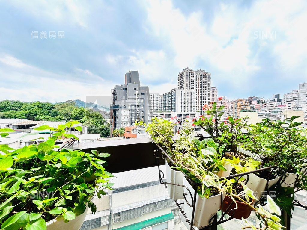 就看這間精算家房屋室內格局與周邊環境