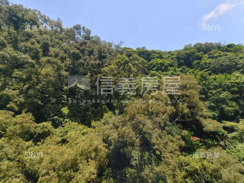 專任麗池高苑綠景優質２房房屋室內格局與周邊環境