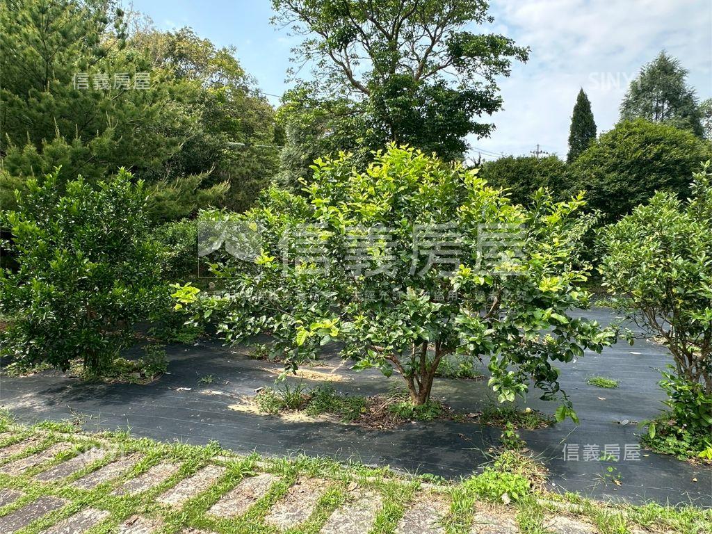 寶山小西湖｜休閒眺望山景房屋室內格局與周邊環境