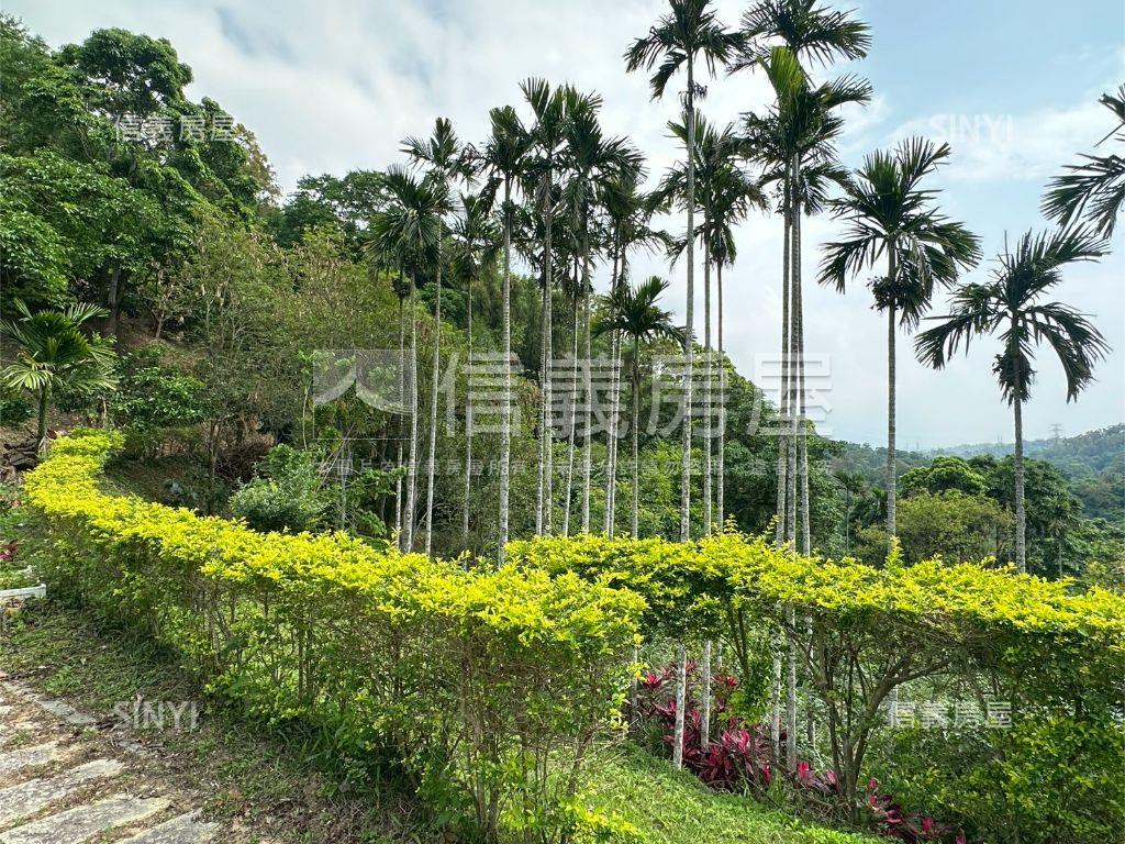 寶山小西湖｜休閒眺望山景房屋室內格局與周邊環境