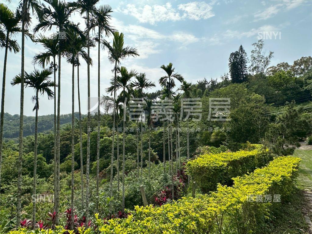 寶山小西湖｜休閒眺望山景房屋室內格局與周邊環境