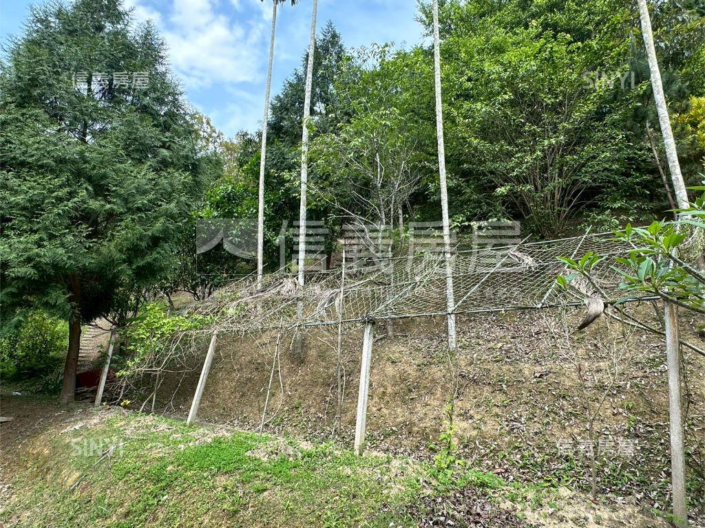 寶山小西湖｜休閒眺望山景房屋室內格局與周邊環境