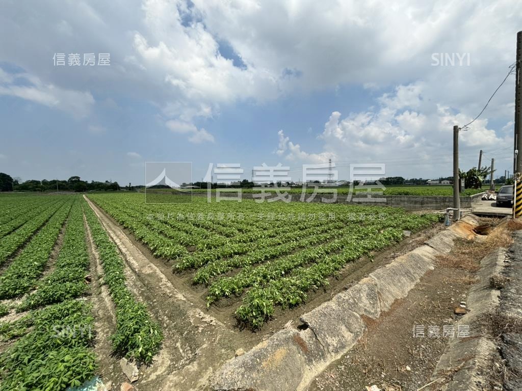 雲林⭐臨路美農地房屋室內格局與周邊環境