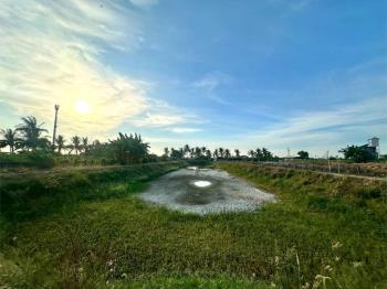 高雄大學旁農地稀有釋出