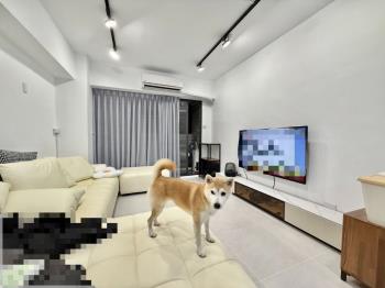 適首購！北屯高樓三房平車