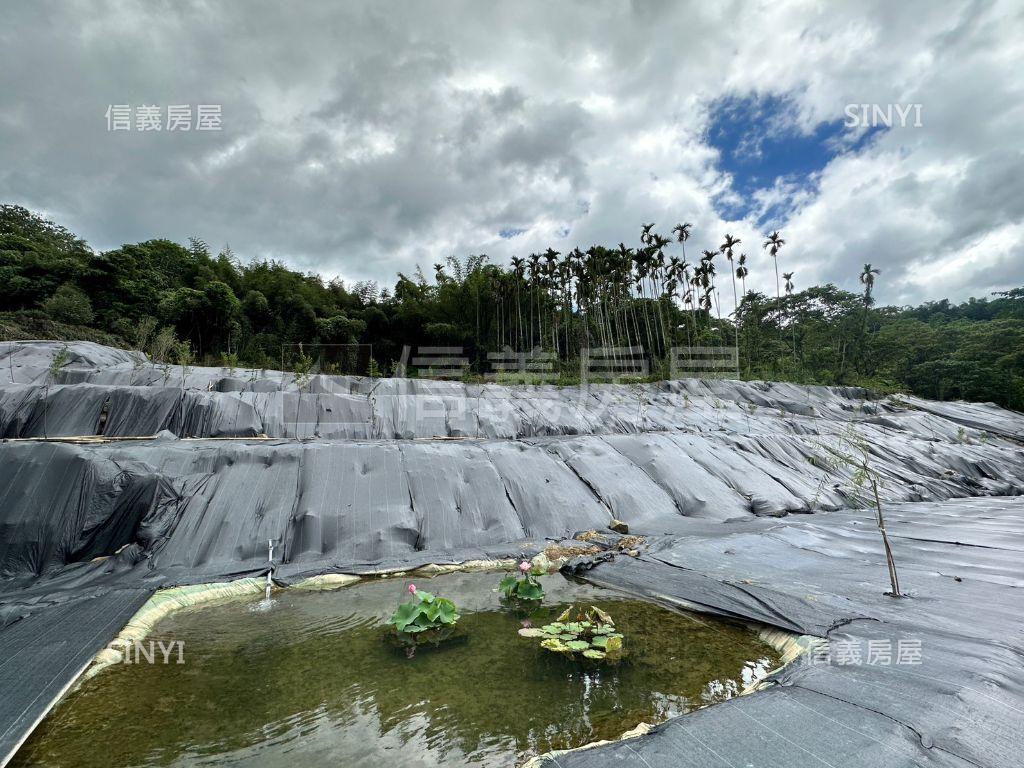 南投鹿谷鄉茅埔段千坪土地房屋室內格局與周邊環境