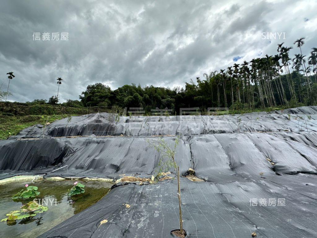 南投鹿谷鄉茅埔段千坪土地房屋室內格局與周邊環境