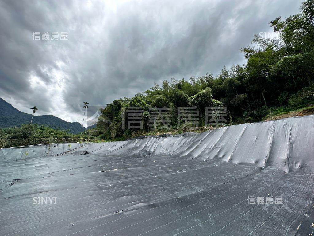 南投鹿谷鄉茅埔段千坪土地房屋室內格局與周邊環境