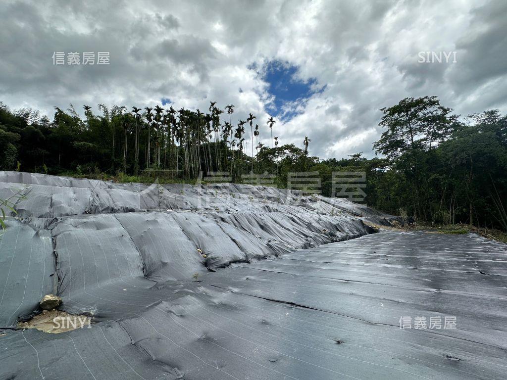 南投鹿谷鄉茅埔段千坪土地房屋室內格局與周邊環境