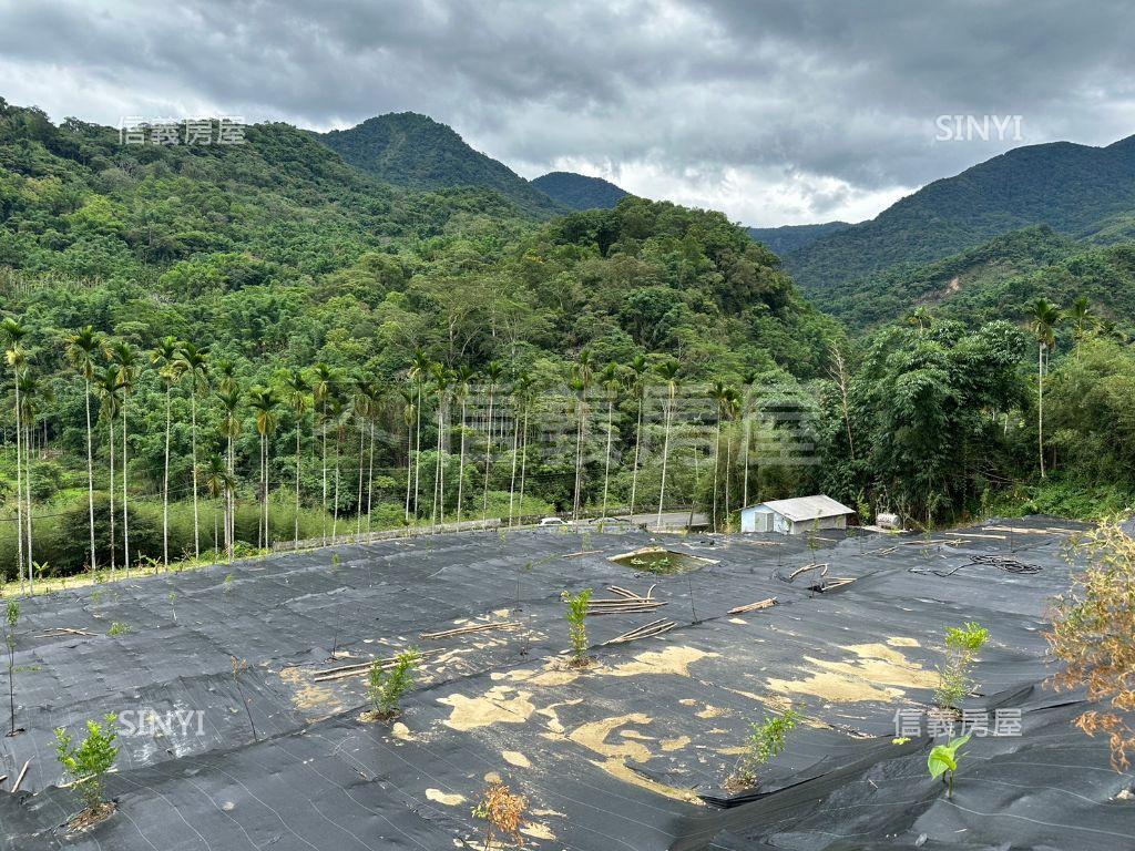 南投鹿谷鄉茅埔段千坪土地房屋室內格局與周邊環境