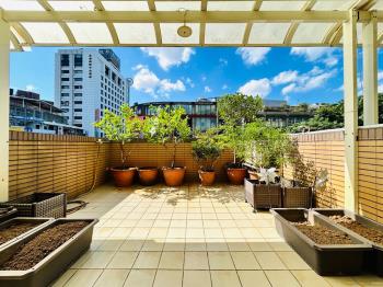 獨家售及第稀有露臺戶