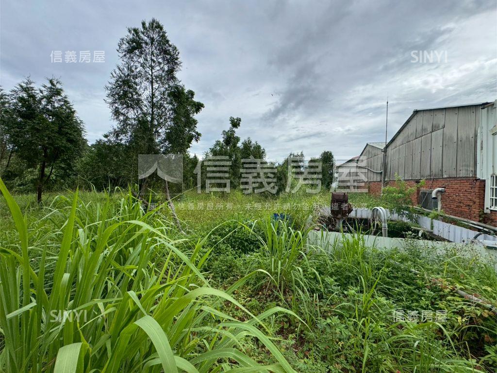 雲林古坑崁腳土地１房屋室內格局與周邊環境