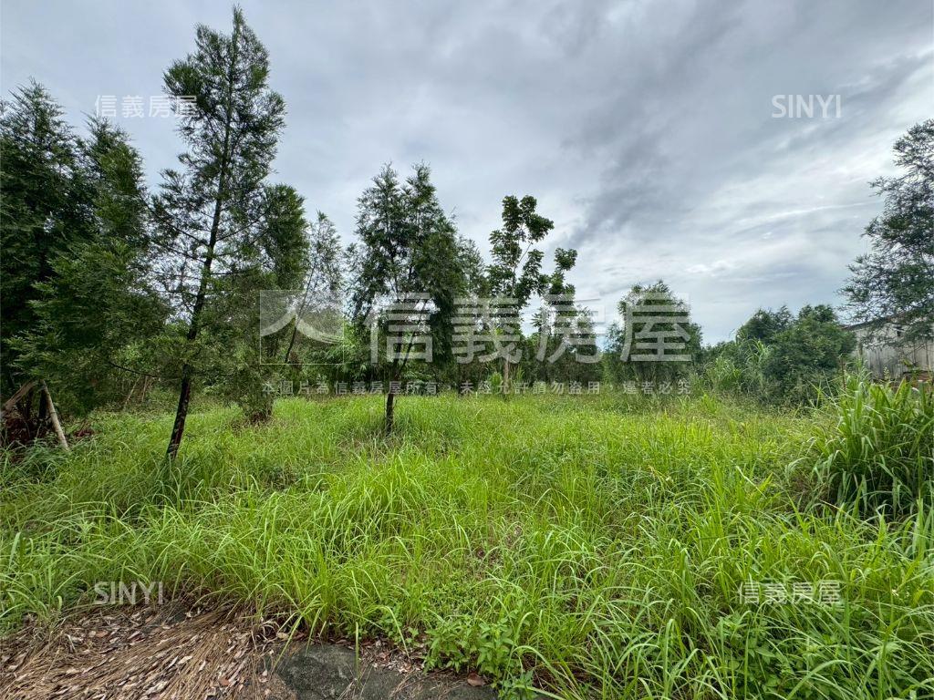 雲林古坑崁腳土地１房屋室內格局與周邊環境