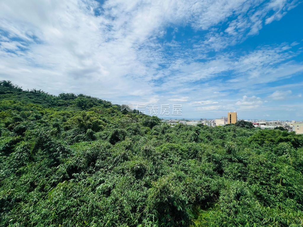 勤益長平晴境電梯別墅房屋室內格局與周邊環境