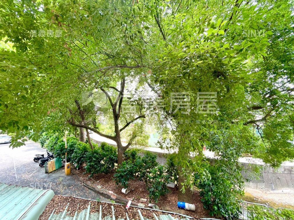正中山路勤益金雞母透店房屋室內格局與周邊環境