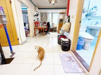 稀有中華路公寓