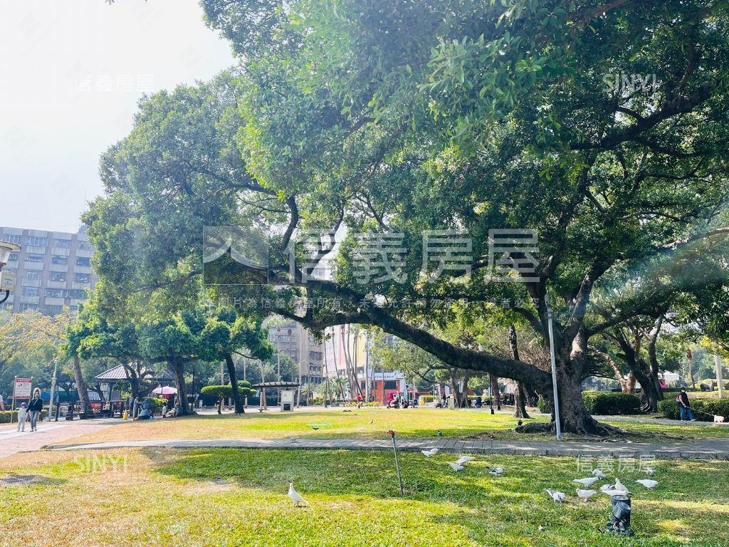 進化路人潮滾滾廣告效益佳房屋室內格局與周邊環境